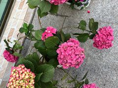 -何适山庄 ·可团建(水长城P2停车场店)