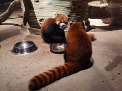 -绿色星球动物主题公园