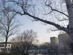 -团结湖公园
