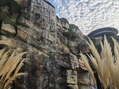 -上海海昌海洋公园