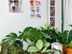 -LaFBagel手作烘焙工作室