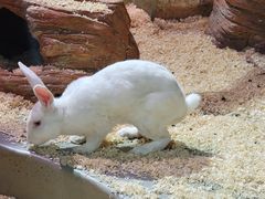 -正佳雨林生态植物园