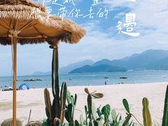 -花海间·即刻露营