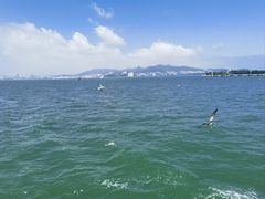 -刘公岛景区