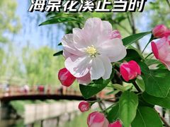 -元大都城垣遗址公园