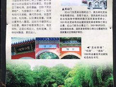-灵谷景区