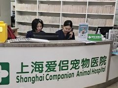 -爱侣宠医·鹦鹉专科·小型哺乳类·异宠专科(灵石路店)