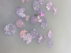 南沙湿地公园-大湾区中央湿地公园