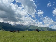 -新疆那拉提国家旅游度假区