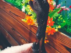 -秋语木桶鱼.酸菜鱼(开发区火车站店)
