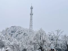 -紫金山山顶公园