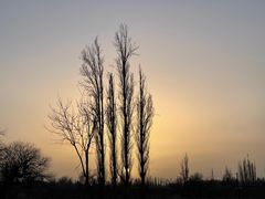 -党河风情线国家水利风景区