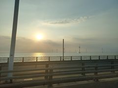 -洋山深水港