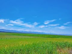 -野鸭湖国家湿地公园