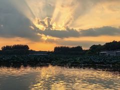 -大兴滨河森林公园