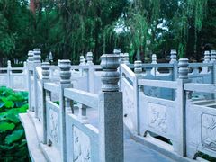 -莲湖公园