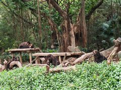 -广州长隆野生动物世界