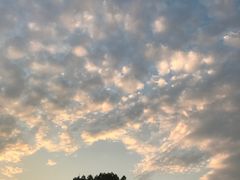 -南京天堂隔壁酒吧