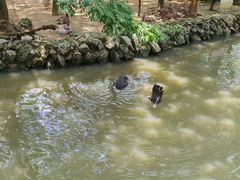 -黔灵山公园