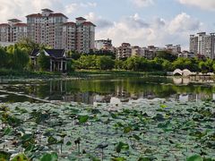 -映月湖公园