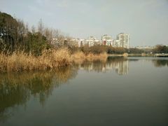 -新江湾城公园