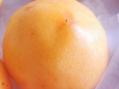 -塔湾北行农贸市场