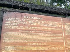 -冶父山国家森林公园