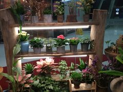 -十二舍·湯物素煮(江泰潤政店)