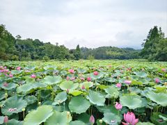 -清漾毛氏文化村
