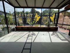 -TFC 纯泰拳馆MuayThai