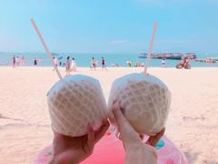 -广东惠东海龟国家级自然保护区