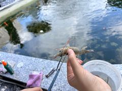 -DGE季风钓虾营地·团建·聚会