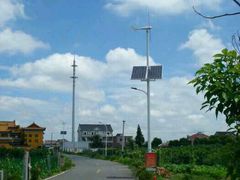 -南汇水蜜桃采摘(大团店)