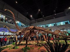 -自贡恐龙博物馆