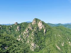 -大岭沟猕猴桃谷风景区