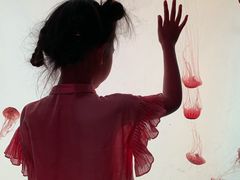 -沈阳海洋探索中心