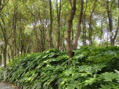 -千龙湖生态旅游度假区