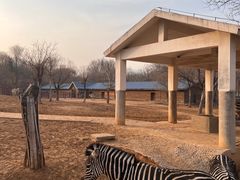 -石家庄市动物园