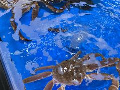 -大润发(花雨店)