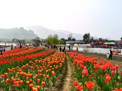 -径山花海