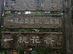 -中山市树木园