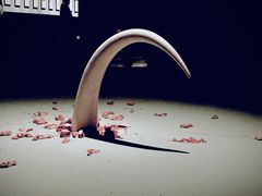 -上海当代艺术博物馆
