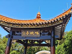 -野狸岛