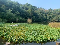 -天目湖山水园