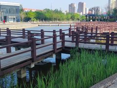 -绿岛公园(滨海新区)