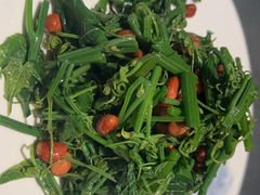 长生果拌丝瓜尖-老济南·地道济南菜(大明湖店)