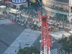 -涩谷全向十字路口