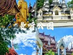 -西双版纳傣族园