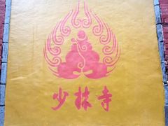 -嵩山少林文化旅游景区