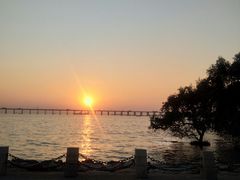 -宝安西湾红树林湿地公园